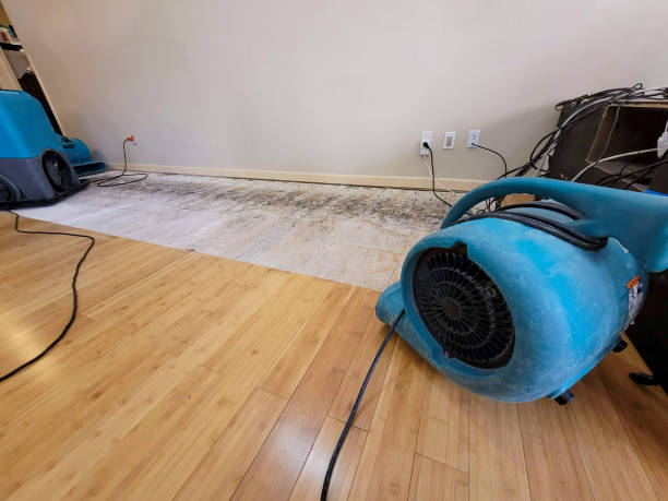 Professional Structural Drying technician working in Hood, VA